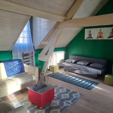 The Green Retromodern Duplex Appartement Antwerpen Buitenkant foto